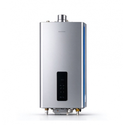 jiujiu--01 Non-Condensing Natural Gas Tankless Water Heater